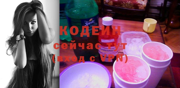 МДПВ Каменногорск