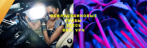 молекула духа Каменск-Шахтинский