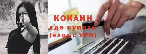 молекула духа Каменск-Шахтинский