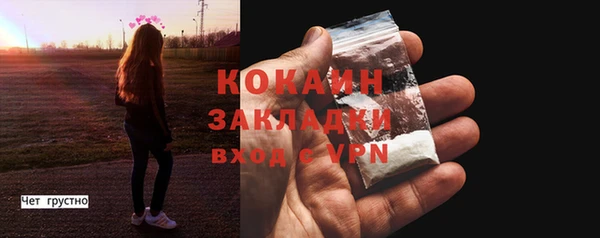 молекула духа Каменск-Шахтинский