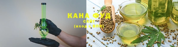 МДПВ Каменногорск
