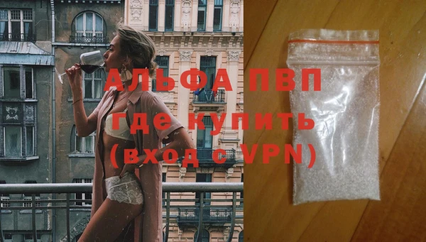молекула духа Каменск-Шахтинский